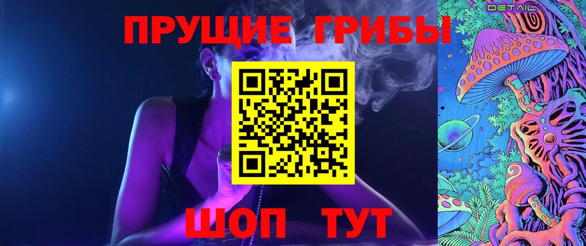 как найти   Вход с VPN  Арсеньев  Галлюциногенные грибы Psilocybe  Галлюциногенные грибы Psilocybe 